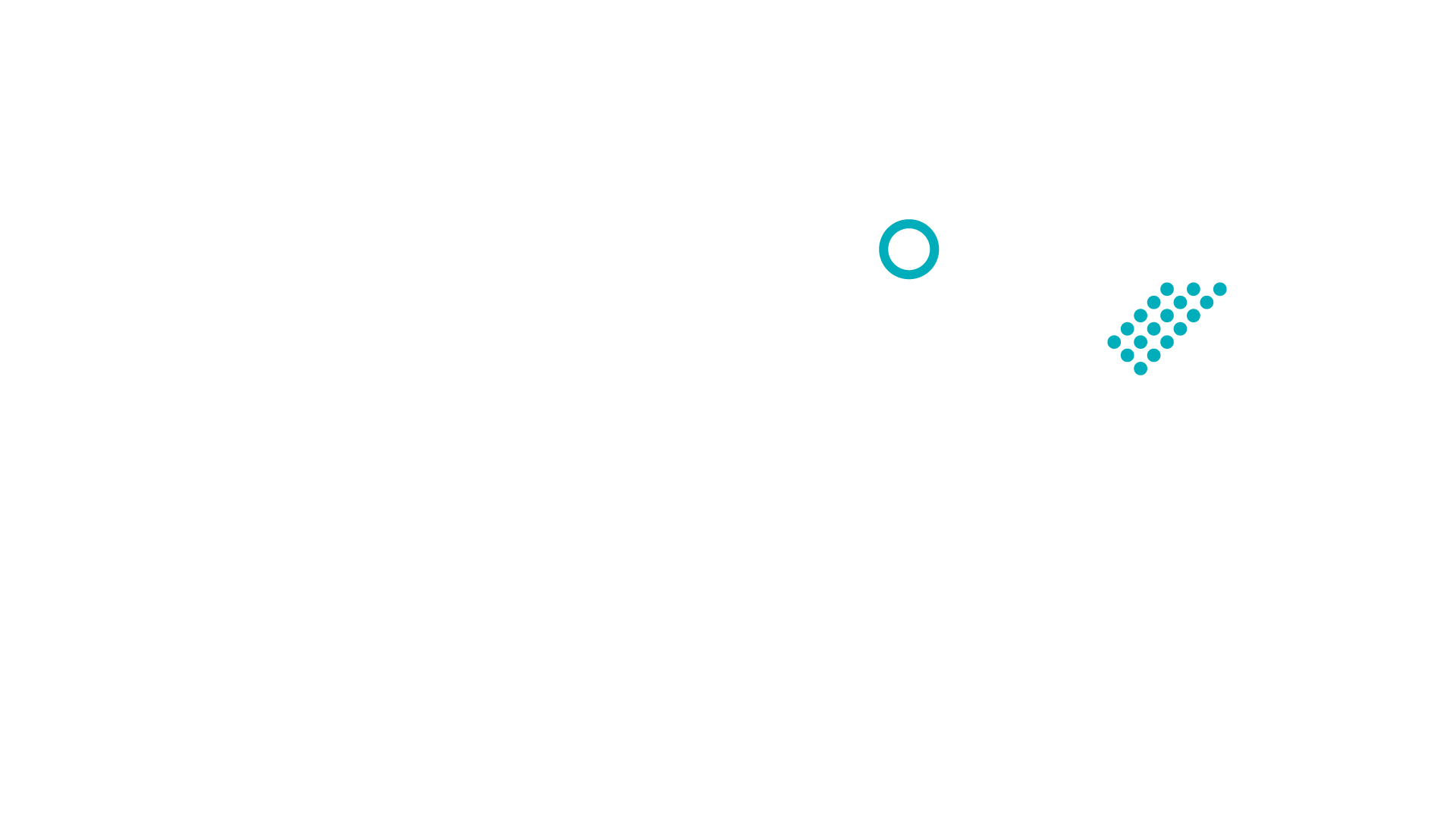 LeviX logo